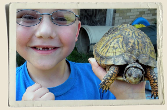 Kyle-Piper-Tommy-Turtle Kyle with his tutle, Tommy - once we set him free Kyle never forgot about him!