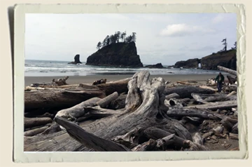La-Push-Second-Beach-Aunt-Heather-Piper