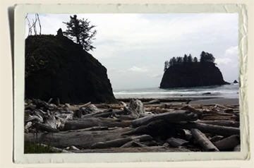 La-Push-Second-Beach-Rocks-Aunt-Heather-Piper