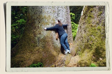Aunt-Heather-Piper-hugging-a-tree-at-Hoh National Rainforest 