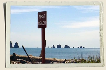 La-Push-First-Beach-Sign-Aunt-Heather-Piper