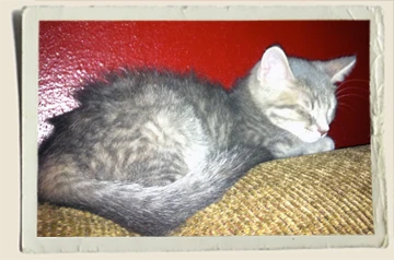 Storm-Sleeping-Aunt-Heather-Piper