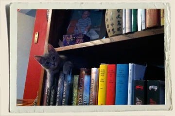 Storm-in-Bookshelf-Aunt-Heather-Piper