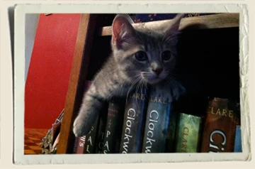 Storm-in-books-Aunt-Heather-Piper