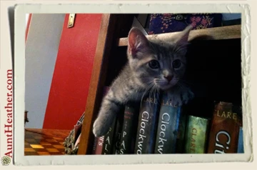 Storm-reading-City-of-Bones-Cassandra-Clare-Aunt-Heather-Piper
