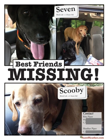 Missing-Dog-Poster-Aunt-Heather-Piper