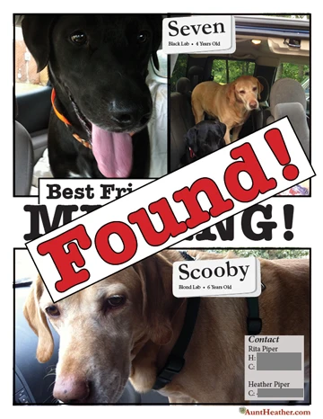 Missing-Dog-Poster-Found-Aunt-Heather-Piper.psd