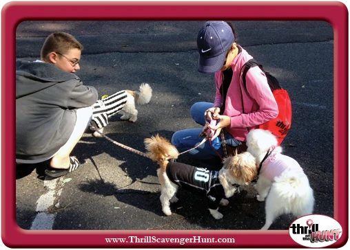 Dog-Gone-Scavenger-Hunt-New-Hope-Thrill-of-the-Hunt-9-14-13-v23 Aunt Heather Piper