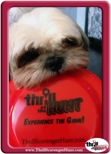 Dog-Gone-Scavenger-Hunt-New-Hope-Thrill-of-the-Hunt-9-14-13-v45 Aunt Heather Piper
