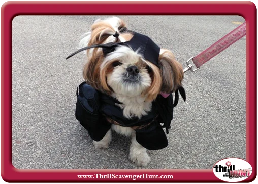 Doggie-in-Disguise-Scavenger-Hunt-Latrobe-PA-Thrill-of-the-Hunt-10-19-13-V7