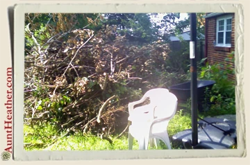 Aunt-Heather-Piper-Backyard-Before