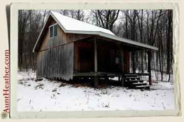 Cabin-my-brother-&-cousins-built-Aunt-Heather-Piper