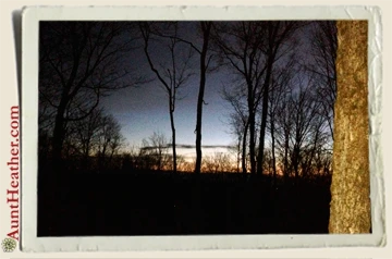 Early-Morning-View-from-my-Tree-stand-in-Cortland-NY-Aunt-Heather-Piper