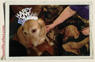Scooby-celebrates-New-Years-Aunt-Heather-Piper-12-31-13