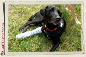 Seven-broken-leg-Aunt-Heather-Piper-9-13