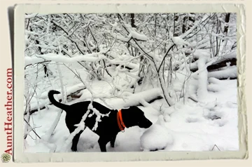 Seven-on-a-hike-in-snow-c.-2012-Aunt-Heather-Piper