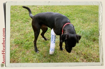Seven-trying-to-walking-with-broken-leg-9-13-Aunt-Heather-Piper