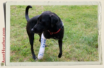 Seven-walking-with-broken-leg-9-13-Aunt-Heather-Piper