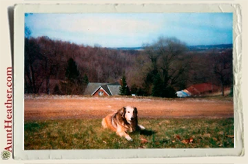 Jill-in-front-yard-c.-1980s-Aunt-Heather-Piper
