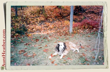Jill-in-the-Fall-under-the-Grape-Harbor-Aunt-Heather-Piper-1980s