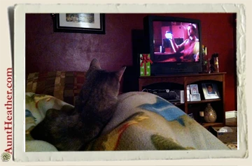 Cat-Watching-Elementary-Aunt-Heather-Piper