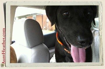 Seven-in-car-2013-Aunt-Heather-Piper