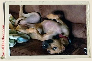 Avery-Sleeping-on-Couch-Aunt-Heather-Piper-2014