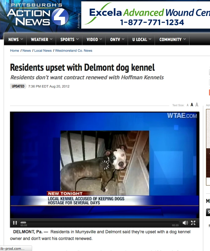 Channel 4 news Hoffman Kennel Aunt Heather Piper