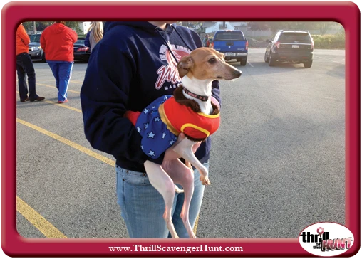 Doggie-in-Disguise-Scavenger-Hunt-Latrobe-PA-Thrill-of-the-Hunt-10-19-13-v22