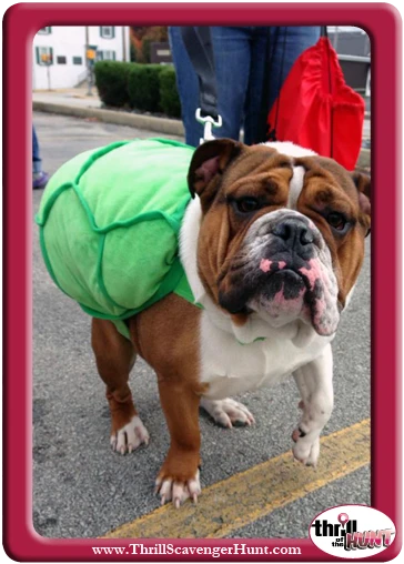 Doggie-in-Disguise-Scavenger-Hunt-Latrobe-PA-Thrill-of-the-Hunt-10-19-13-v26