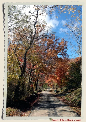 Our-Ridge-in-Fall-2013-Aunt-Heather-Piper