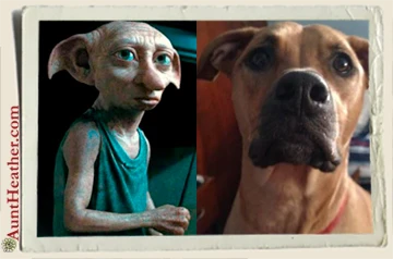Avery-Dobby-Aunt-Heather-Piper-2015