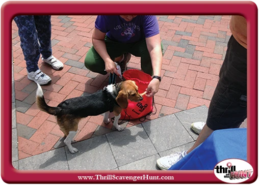 Dog-Gone-Scavenger-Hunt-Thrill-of-the-Hunt-dog-scavenger-hunts-Aunt-Heather-Piper