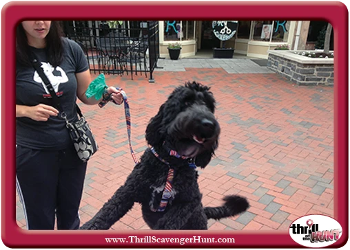 Dog-Gone-Scavenger-Hunt-Winchester-VA-Thrill-of-the-Hunt-Scavenger-Hunt-Aunt-Heather-Piper
