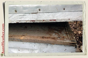 Bee-Box-opened-Aunt-Heather-Piper-6-1-15